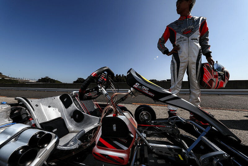 EXGEL シートパッド 17 バックタイプ エクスジェル レーシングカート