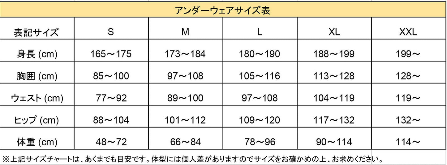 【アウトレット品】sabelt サベルト アンダーウェア UI-500 FIA公認